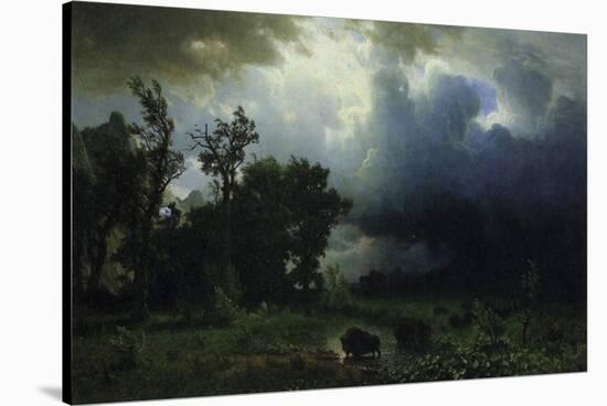 Bison Trail: Approaching Storm-Albert Bierstadt-Stretched Canvas