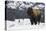 Bison winter bull.-Ken Archer-Premier Image Canvas