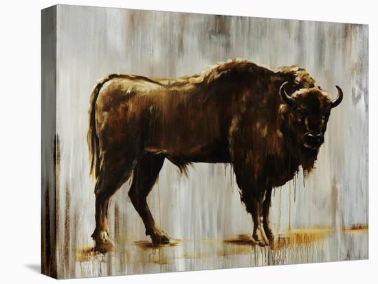 Bison-Sydney Edmunds-Premier Image Canvas