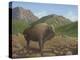 Bison-Robert Wavra-Premier Image Canvas