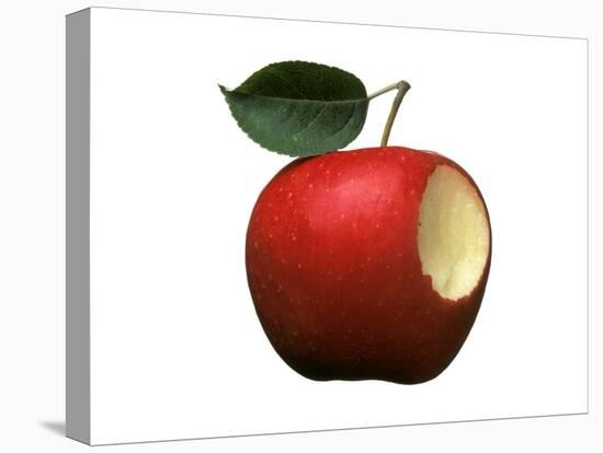 Bitten Apple-Wolfgang Usbeck-Premier Image Canvas