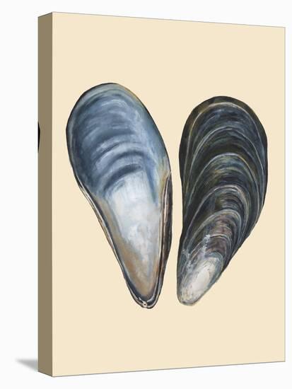 Bivalve Shells I-Michael Willett-Stretched Canvas