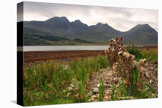 Bla Bheinn across Loch Slapin, Skye, Highland, Scotland-Peter Thompson-Premier Image Canvas