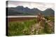 Bla Bheinn across Loch Slapin, Skye, Highland, Scotland-Peter Thompson-Premier Image Canvas