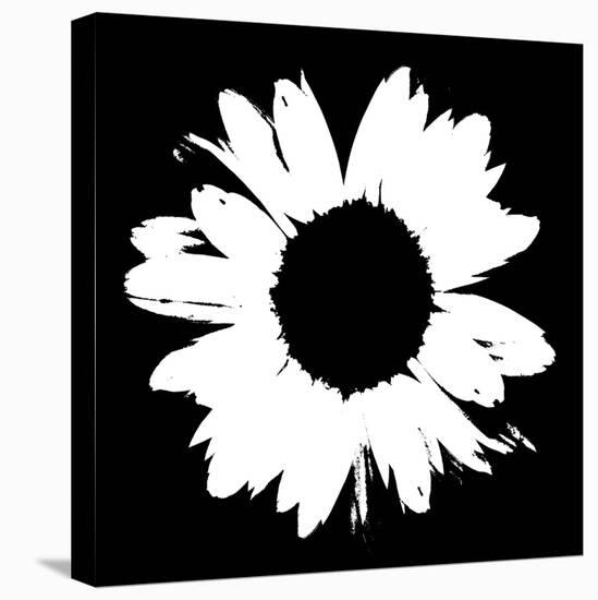 Black And White Abstract Daisy II-Ruth Palmer-Stretched Canvas