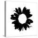 Black And White Abstract Daisy-Ruth Palmer-Stretched Canvas