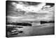 Black and White Beach-Nish Nalbandian-Stretched Canvas