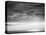 Black and white cloud formatio-Savanah Plank-Stretched Canvas