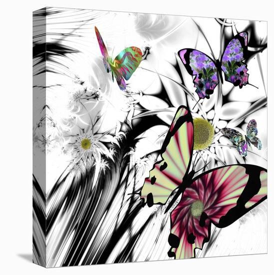 Black and White Daisies-Mindy Sommers-Premier Image Canvas