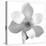 Black and White Magnolia Flower-Anna Miller-Premier Image Canvas