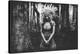 Black And White Mood In The Forest-null-Stretched Canvas