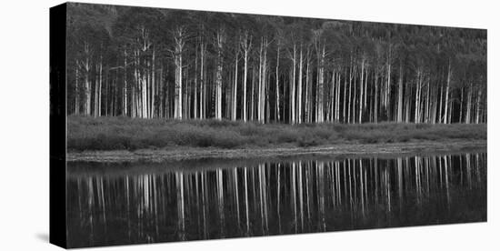 Black And White Panoramic Shot Of Willow Lake, Big Cottonwood Canyon, Utah-Austin Cronnelly-Premier Image Canvas