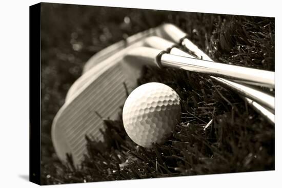 Black And White Photo Of Golf Clubs And A Golf Ball In Low Light For Contrast-tish1-Premier Image Canvas