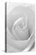Black and White Rose Abstract-Anna Miller-Premier Image Canvas