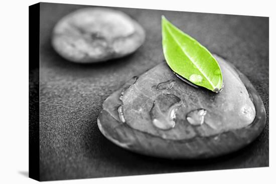 Black and White Zen Stones Submerged in Water with Color Accented Green Leaf-elenathewise-Premier Image Canvas