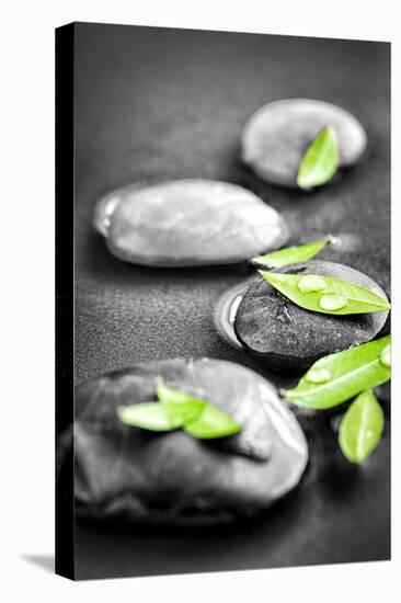 Black and White Zen Stones Submerged in Water with Color Accented Green Leaves-elenathewise-Premier Image Canvas