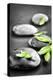 Black and White Zen Stones Submerged in Water with Color Accented Green Leaves-elenathewise-Premier Image Canvas