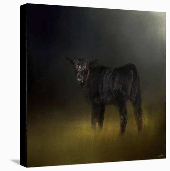 Black Angus Calf in the Moonlight-Jai Johnson-Premier Image Canvas