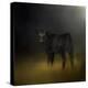 Black Angus Calf in the Moonlight-Jai Johnson-Premier Image Canvas