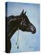 Black Arabian-Jenny Newland-Premier Image Canvas