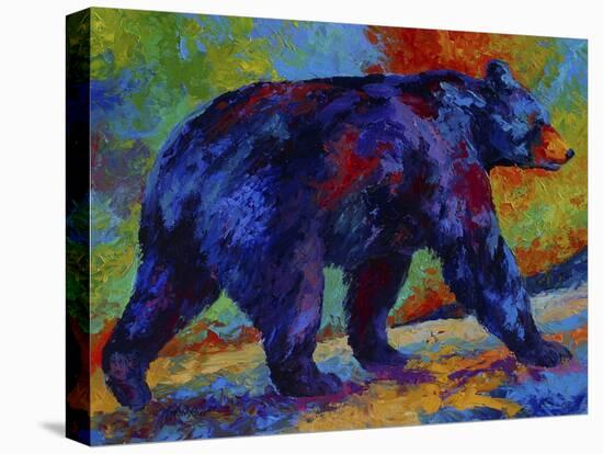 Black Bear 3-Marion Rose-Premier Image Canvas