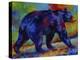 Black Bear 3-Marion Rose-Premier Image Canvas