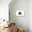 Black Bear and Cub - Icon-Lantern Press-Stretched Canvas displayed on a wall