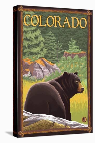 Black Bear in Forest - Colorado-Lantern Press-Stretched Canvas