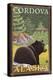 Black Bear in Forest, Cordova, Alaska-Lantern Press-Stretched Canvas