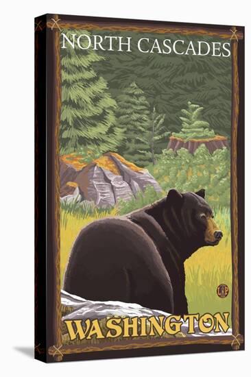 Black Bear in Forest, North Cascades, Washington-Lantern Press-Stretched Canvas