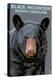 Black Bear Up Close - Black Mountain, North Carolina-Lantern Press-Stretched Canvas