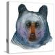 Black Bear-Jeannine Saylor-Stretched Canvas