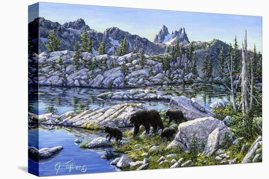 Black Bear-Jeff Tift-Premier Image Canvas