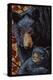 Black Bears - Paper Mosaic-Lantern Press-Stretched Canvas