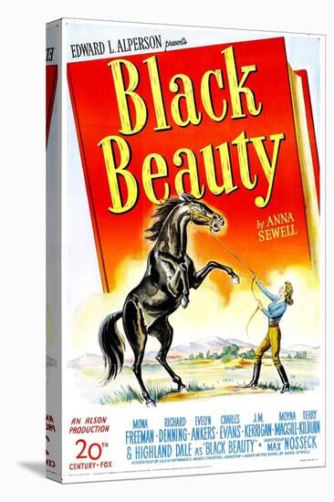 Black Beauty, Mona Freeman, 1946-null-Stretched Canvas