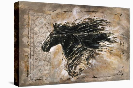 Black Beauty-Marta Wiley-Stretched Canvas