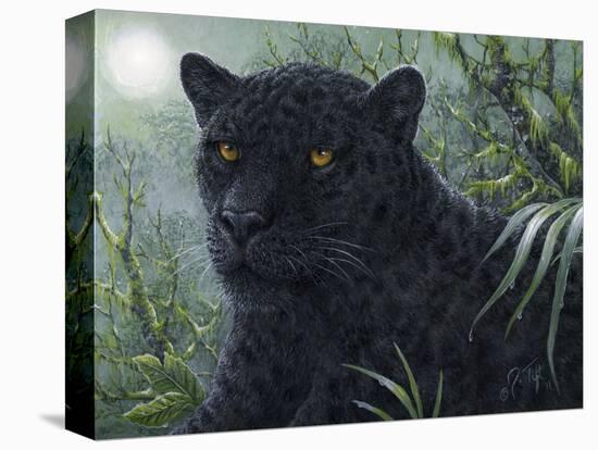 Black Beauty-Jeff Tift-Premier Image Canvas