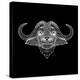 Black Buffalo Mesh-Lisa Kroll-Stretched Canvas