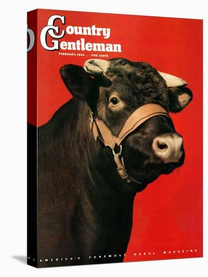 "Black Bull," Country Gentleman Cover, February 1, 1944-Salvadore Pinto-Premier Image Canvas