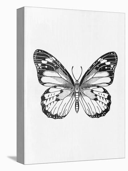 Black Butterfly II-Eline Isaksen-Stretched Canvas