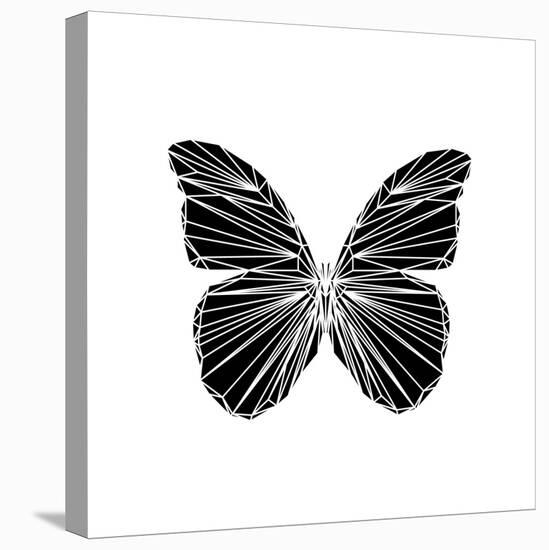 Black Butterfly-Lisa Kroll-Stretched Canvas