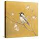 Black Capped Chickadee on Gold-Danhui Nai-Stretched Canvas