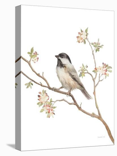 Black Capped Chickadee v2 on White-Danhui Nai-Stretched Canvas