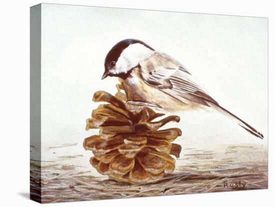 Black-Capped Chickadee-Rusty Frentner-Premier Image Canvas