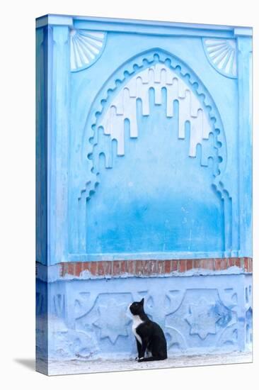 Black Cat and Blue Wall-Steven Boone-Premier Image Canvas