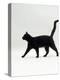 Black Cat (Felis Catus) Walking Profile-Jane Burton-Premier Image Canvas