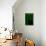 Black Cat in Green-Ikuko Kowada-Premier Image Canvas displayed on a wall