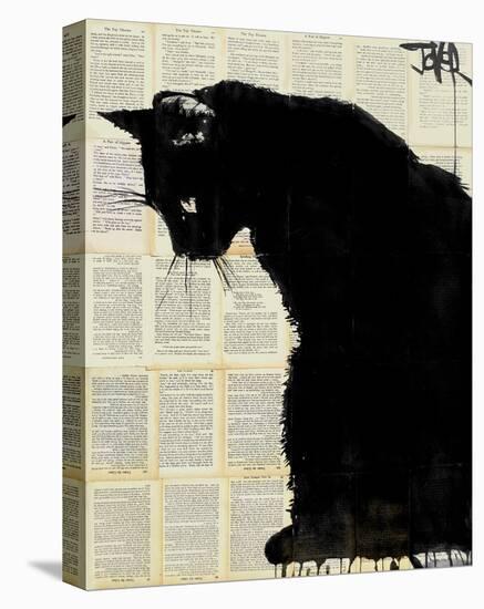 Black Cat-Loui Jover-Stretched Canvas