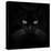 Black Cat-Lori Hutchison-Stretched Canvas