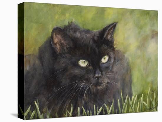 Black Cat-Sarah Davis-Premier Image Canvas